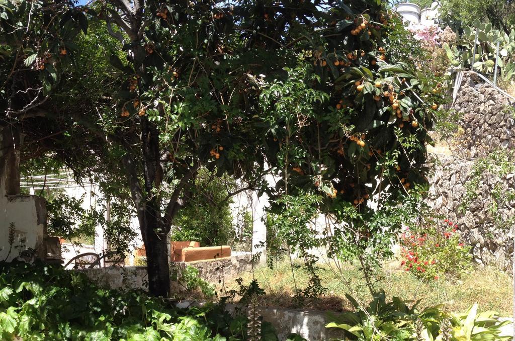 منزل الضيف Casa Del Caminero En Tejeda المظهر الخارجي الصورة